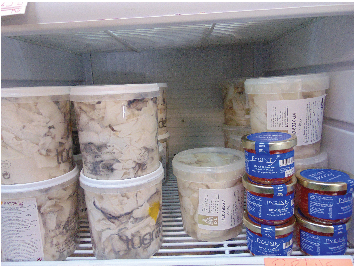 Congelados